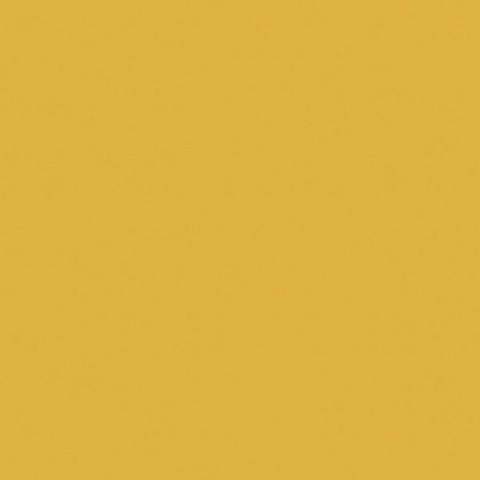 ЛДСП Карри жёлтый (U163 ST9) 2800x2070x25мм, Egger